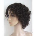 Whosales Top Quality Cheap Human Hair Wigs for Black Women (HW-049)